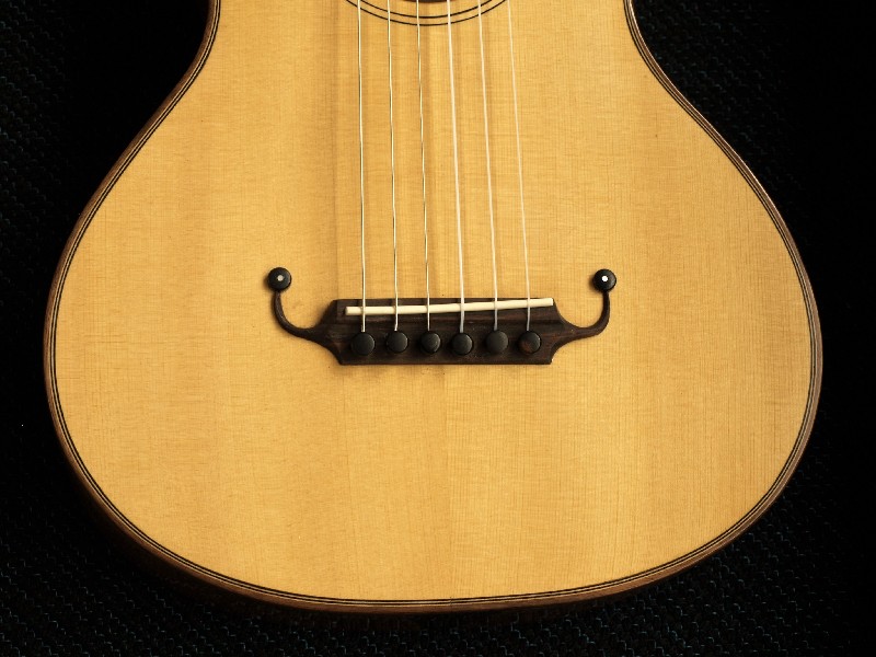 I prefer a adjustable nut, just as on my classical guitars. 